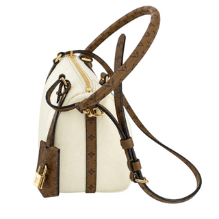 Louis Vuitton Cream & Brown Monogram Express PM Bag