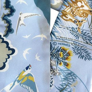 Hermès Blue Rewilding Nature Silk Twilly Scarf