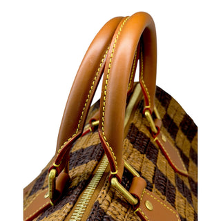 Louis Vuitton Speedy Bandoulière 30 Damier Raffia