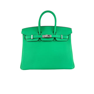Hermès Birkin 25 Vert Comics Togo Leather Palladium Hardware