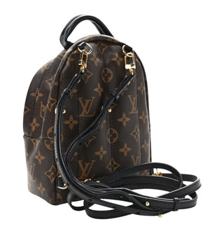 Louis Vuitton Monogram Mini Palm Springs Backpack