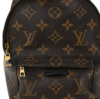 Louis Vuitton Monogram Mini Palm Springs Backpack