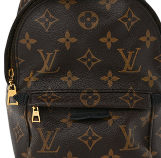 Louis Vuitton Monogram Mini Palm Springs Backpack
