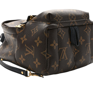 Louis Vuitton Monogram Mini Palm Springs Backpack