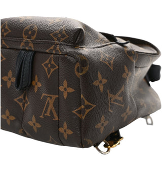 Louis Vuitton Monogram Mini Palm Springs Backpack