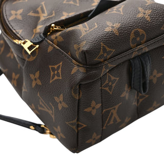 Louis Vuitton Monogram Mini Palm Springs Backpack